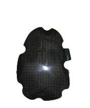 Carbon pick-up cover