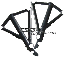 Carbon Frame protection